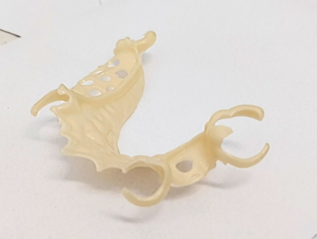 Skeletová náhrada ACETAL 2